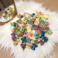 Premium Matte Finished Cute Mini Hair Clips (3pcs) MC808