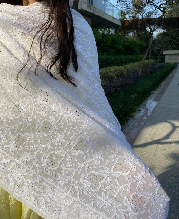 Suroor Chikankari Mukaish Jaalwork Dupatta