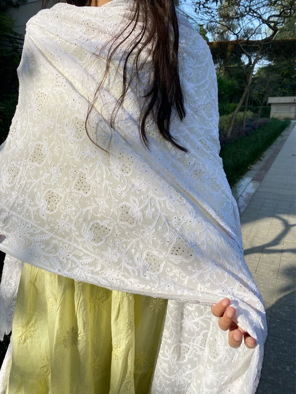 Suroor Chikankari Mukaish Jaalwork Dupatta