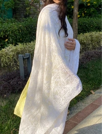 Suroor Chikankari Mukaish Jaalwork Dupatta