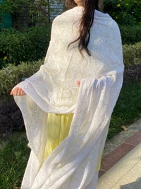 Suroor Chikankari Mukaish Jaalwork Dupatta