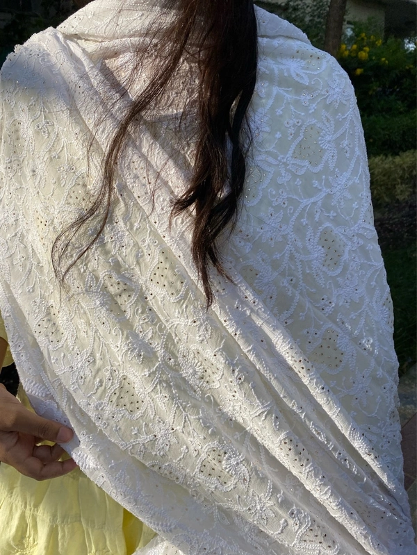Suroor Chikankari Mukaish Jaalwork Dupatta