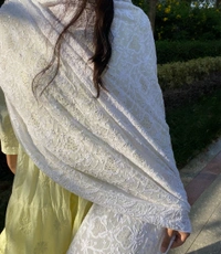 Suroor Chikankari Mukaish Jaalwork Dupatta
