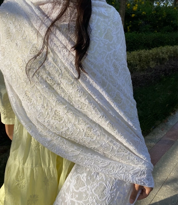 Suroor Chikankari Mukaish Jaalwork Dupatta