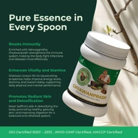 Cutis True Kerala Company Sugar-Free Chyawanprash – 200g, With Amla & 40+ Herbs, Supports Healthy Skin & Gut Health - One Size, 1