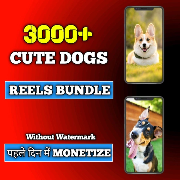 3000+ Cute Dogs Puppy Reels Videos Bundle For Instagram, Youtube, Facebook