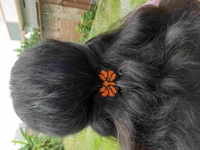 Butterfly Hairclip - Flame Pea