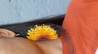 SUNFLOWER FRINGE Earring 