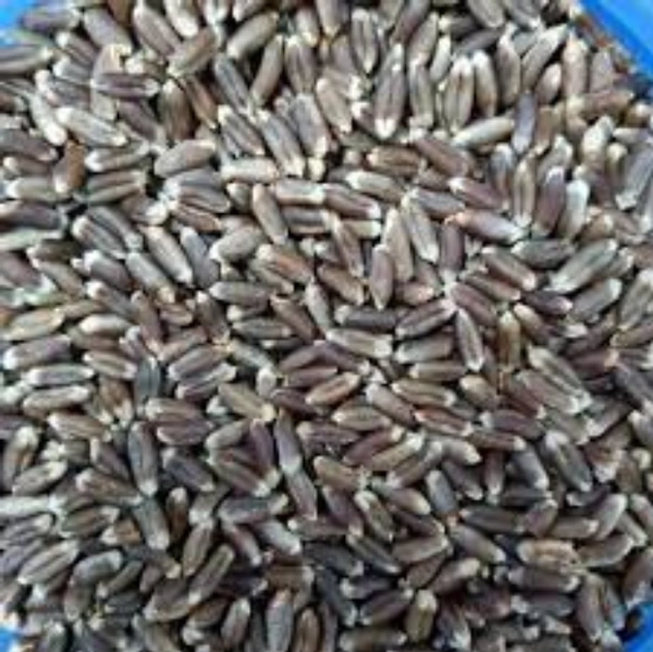 Black Wheat Flour - 1Kg