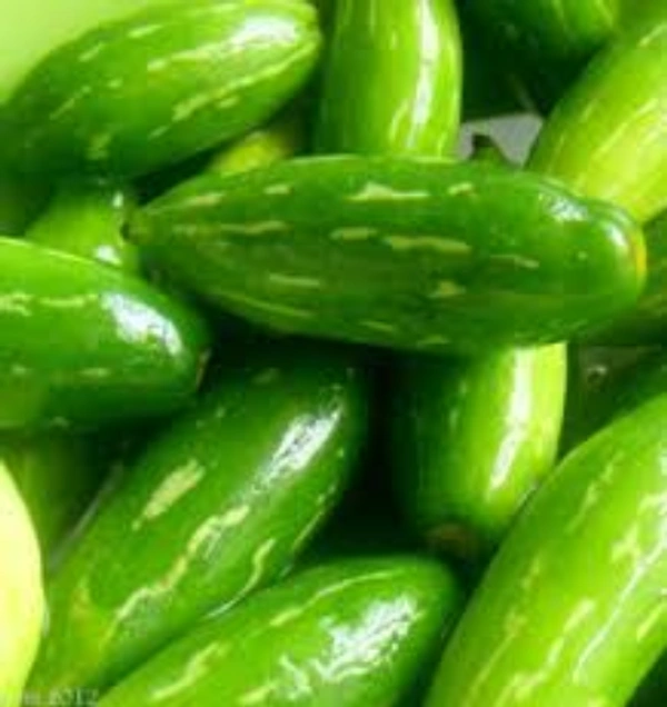 IVY Gourd (Kundru) - 1Kg