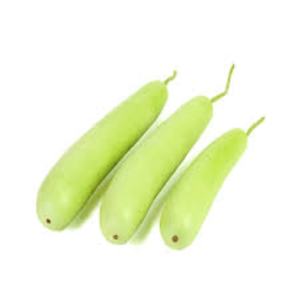 Gourd (Lauki) - 1 Pieces