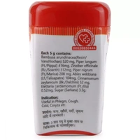 Baidyanath Jhansi Baidyanath Talisadi Churna (60g)