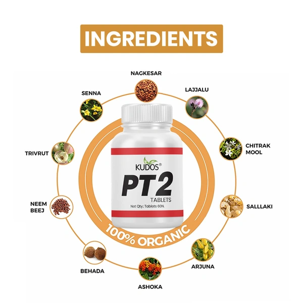 Kudos Laboratories India Ltd Kudos PT2 Tablet (60tab)