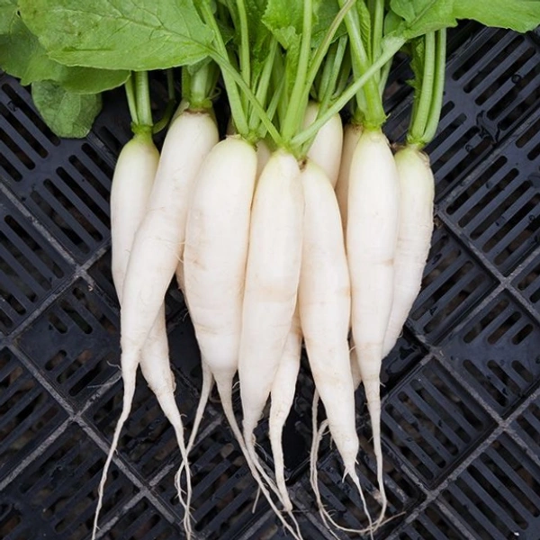 Radish Mooli 500g