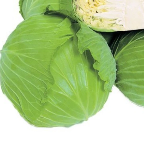 Cabbage Patta Gobhi 1pics