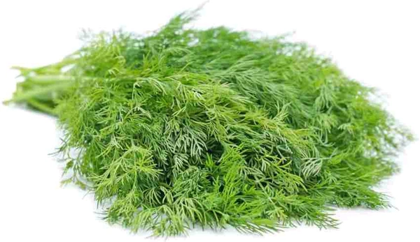 Sowa 20g