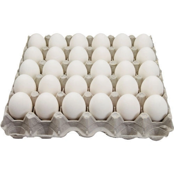 Egg Try 30pic