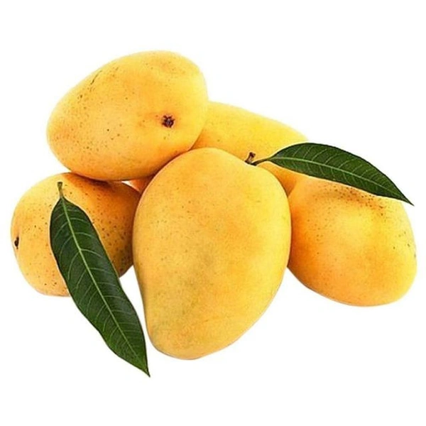 Safeda Mango 1.5kg