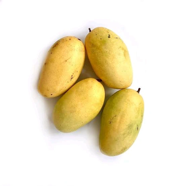 Mango Daseri 1.3kg