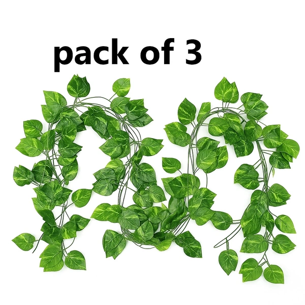 Wallplants - (8feet) Set Of 3 Strings