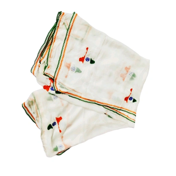 Chiffon Embroidered Indian Map Dupatta