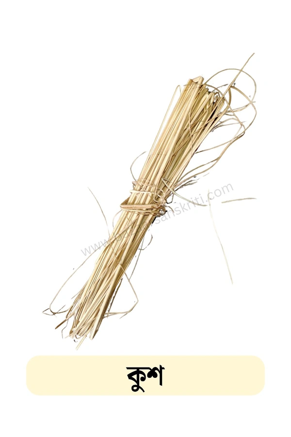 Kush/কুশ