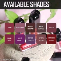 Liquid Lipstick Combo 10 Set 