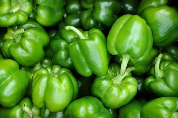 A-सभी हरी सब्जिया - bhindi, taroi rirua, kathal, kaddu, kareli, parval, gobhi, mirch, lauki , bhata , mooli, muli, palki, methi( hari sabji) - 250 ग्राम शिमला मिर्च