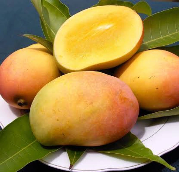 all fruits ( फल) - seb ( apple) , kela ( banana) , angoor ( grapes) , anar , santara ( orange) , keevi, aam (mango), fal - आम 500 ग्राम