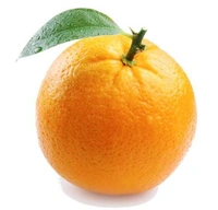 all fruits ( फल) - seb ( apple) , kela ( banana) , angoor ( grapes) , anar , santara ( orange) , keevi, aam (mango), fal - संतरा 500 ग्राम