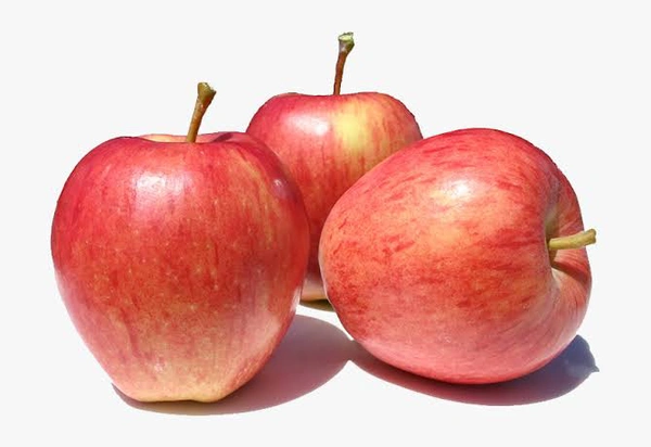 all fruits ( फल) - seb ( apple) , kela ( banana) , angoor ( grapes) , anar , santara ( orange) , keevi, aam (mango), fal - सेब 500 ग्राम