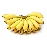all fruits ( फल) - seb ( apple) , kela ( banana) , angoor ( grapes) , anar , santara ( orange) , keevi, aam (mango), fal - केला 1 दर्जन