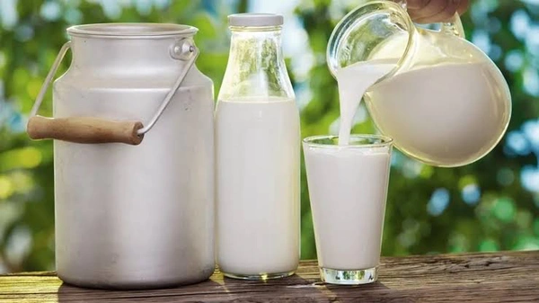 देशी घी, दूध, पनीर, मटर -  mattha, doodh, dahi, paneer, deshi ghi, ghee, safal matar, milk - दूध 1 लीटर