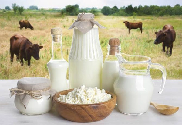 देशी घी, दूध, पनीर, मटर -  mattha, doodh, dahi, paneer, deshi ghi, ghee, safal matar, milk - दूध 1 लीटर