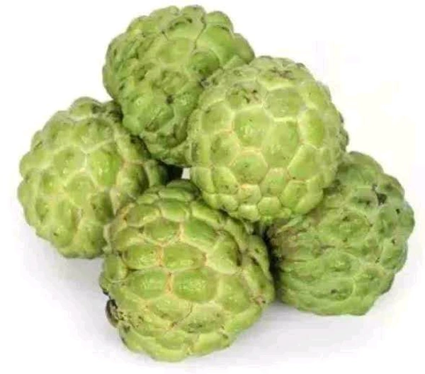 all fruits ( फल) - seb ( apple) , kela ( banana) , angoor ( grapes) , anar , santara ( orange) , keevi, aam (mango), fal - सीताफल 500 ग्राम