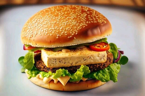 Burger Pizza and sandwich  - पनीर चीज बर्गर