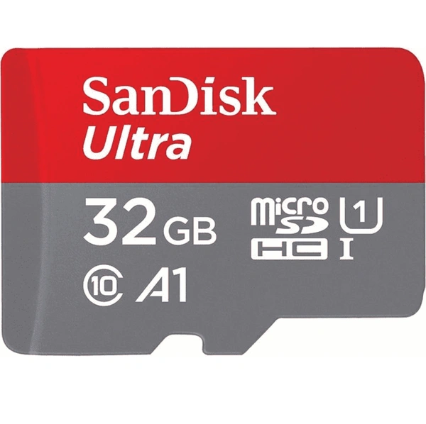SanDisk 32GB Class 10 Memory Card  - Gray