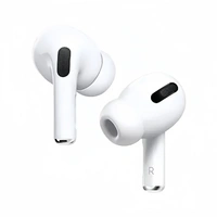 NIRVANA Airpods Pro 2 Master Edition