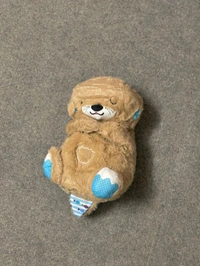 Breathing Teddy 