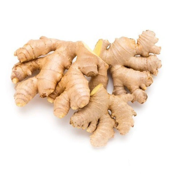 Ginger ( Inji )