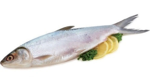 Marine Milk Fish / Poomeen, 1Kg