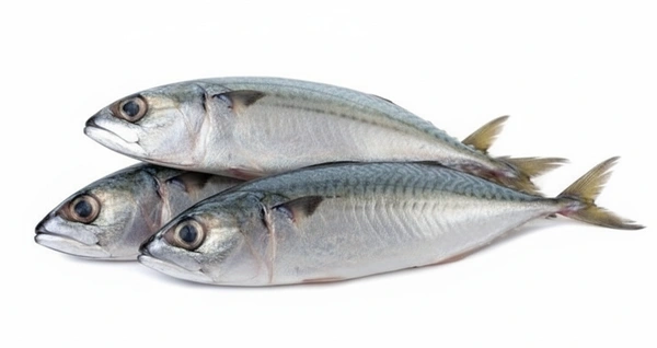 Fish - Mackerel (Bangada / Ayala Meen)