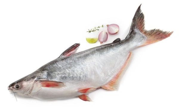 Basa Fish (Basa Meen)