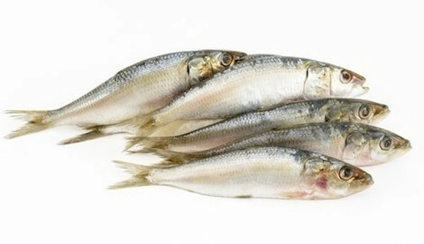 Fish - Sardine (Mathi / Chaala Meen)