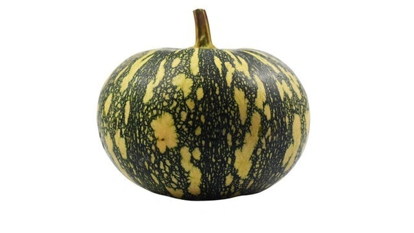 Pumpkin - Cut Portion