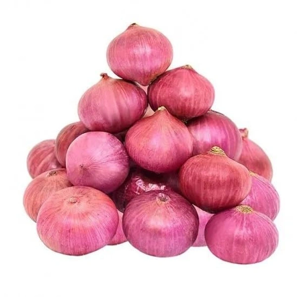 Onion - Smabar ( Savala ) 500g