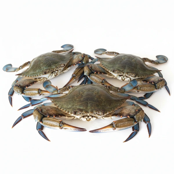 Blue Crab (Njandu / Neelam Njandu / Sea Crab)