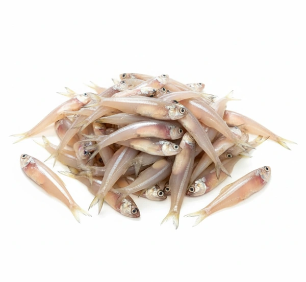 Fish - Anchovy (Netholi / Veluri Meen / Kozhuva)