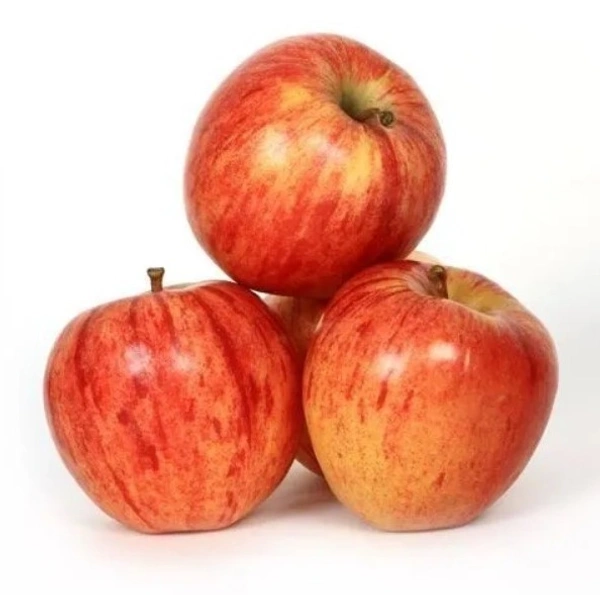 Orange - Valencia 500g