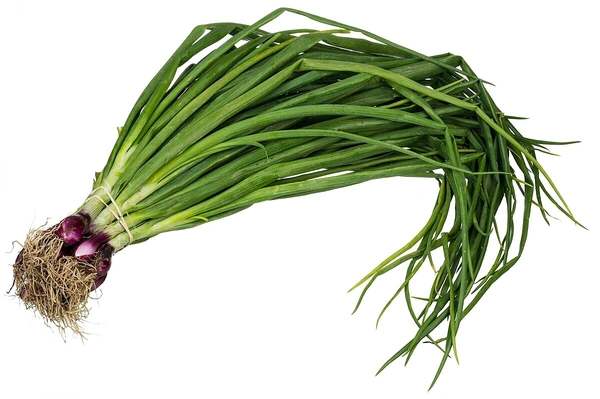 Spring Onion 100g